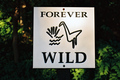 Forever Wild	